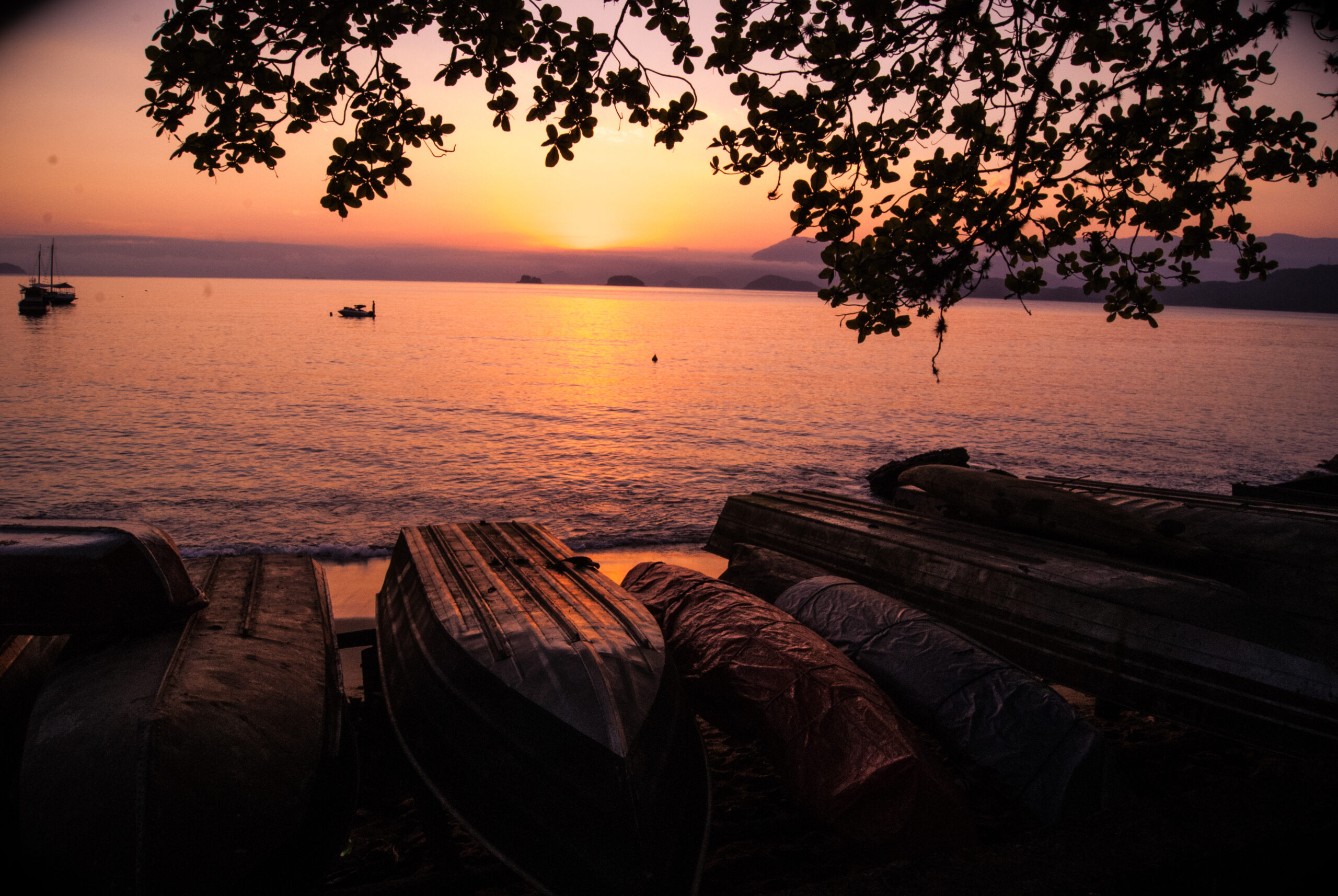 Picinguaba (Ubatuba)